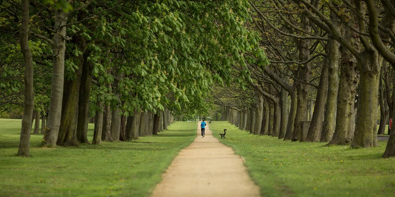 A runner on a tree lined path in a Leeds park.