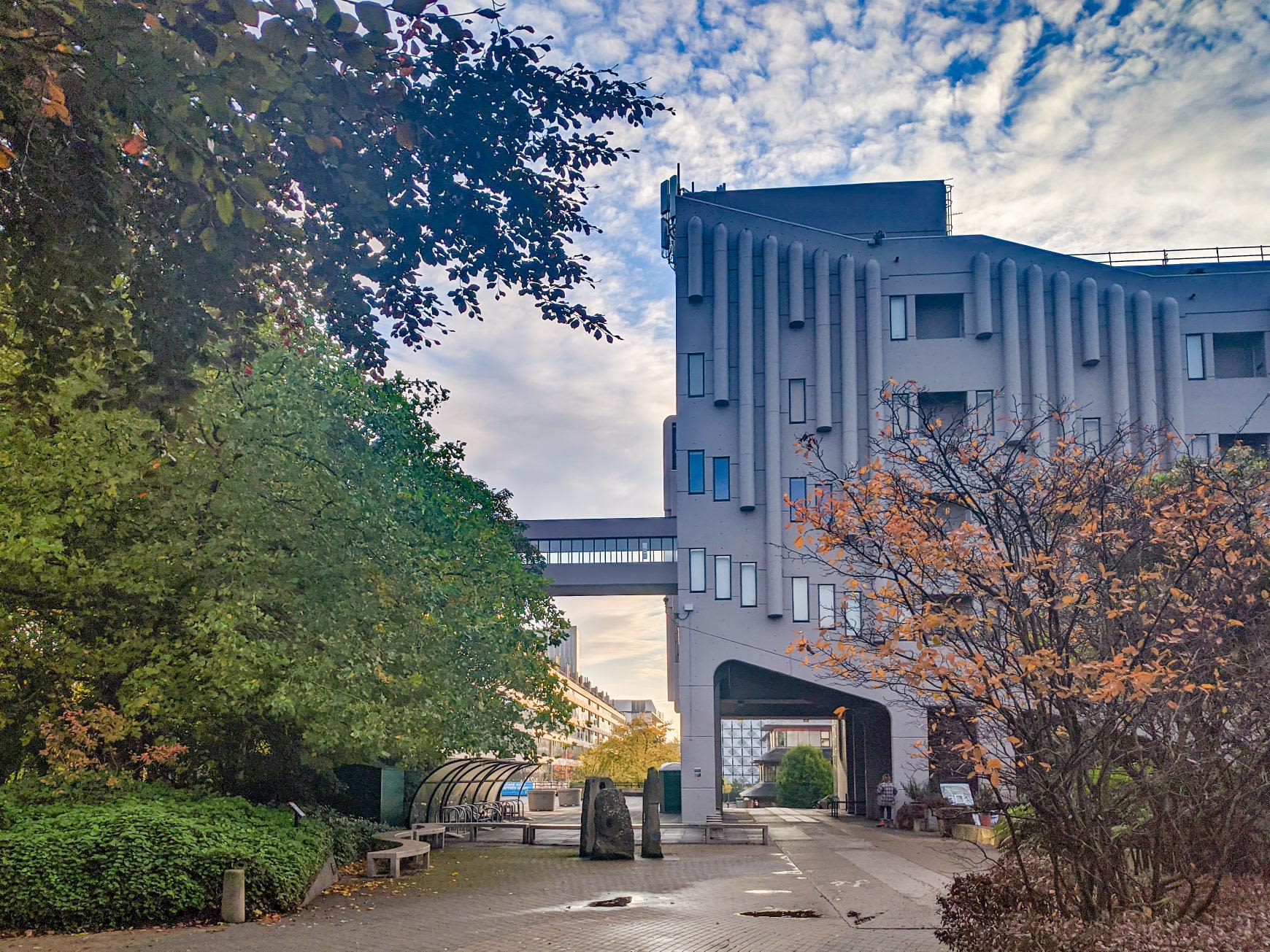 Roger Stevens building in spring sunshine