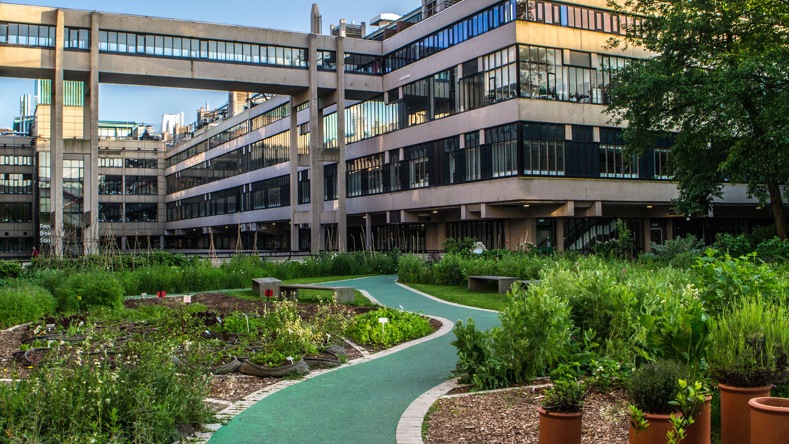 The sustainable garden outside the Faculty of Envrionment building