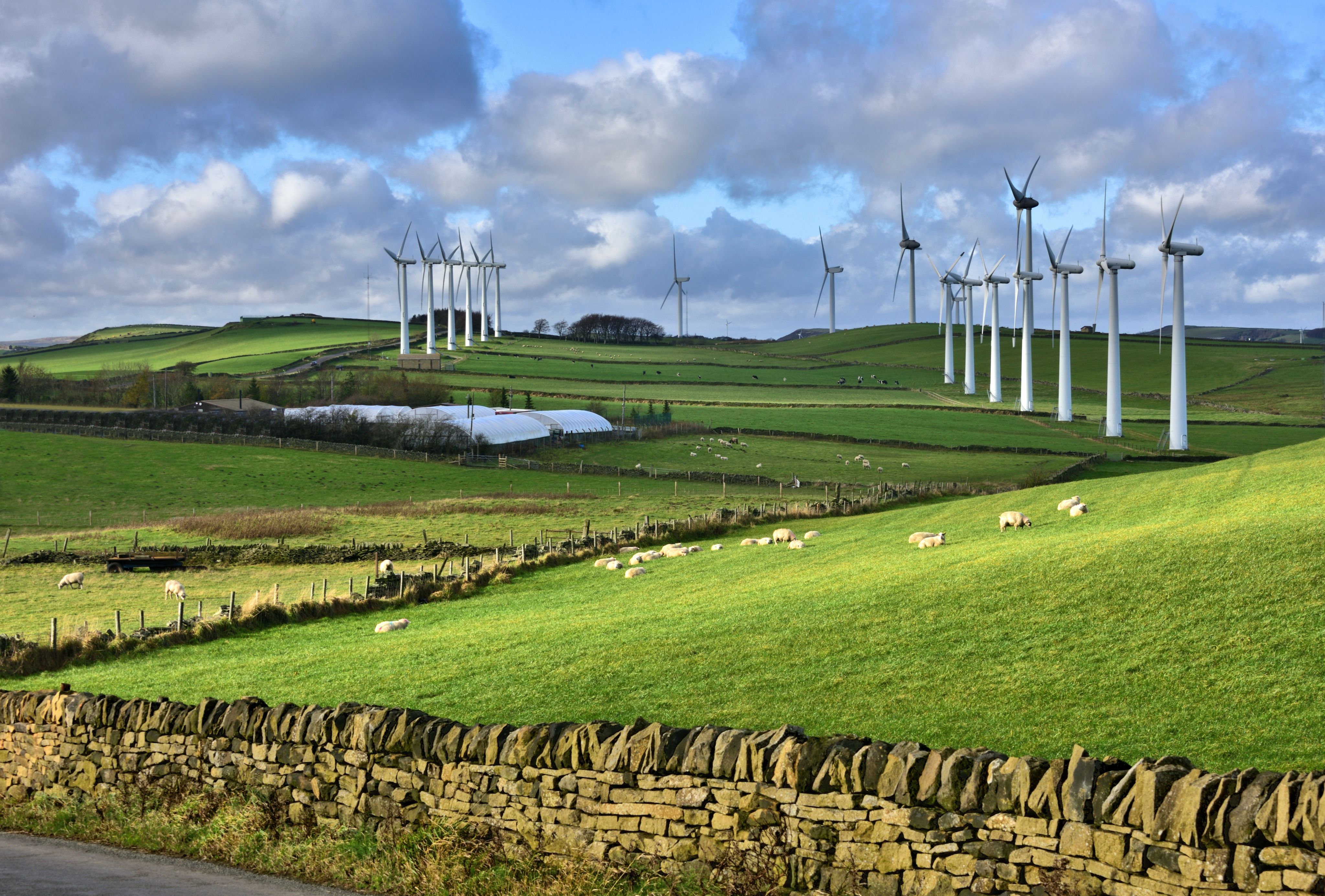 Royd Moor Wind Farm, Penistone, Yorkshire, consisting of thirteen 450 kW turbines.
