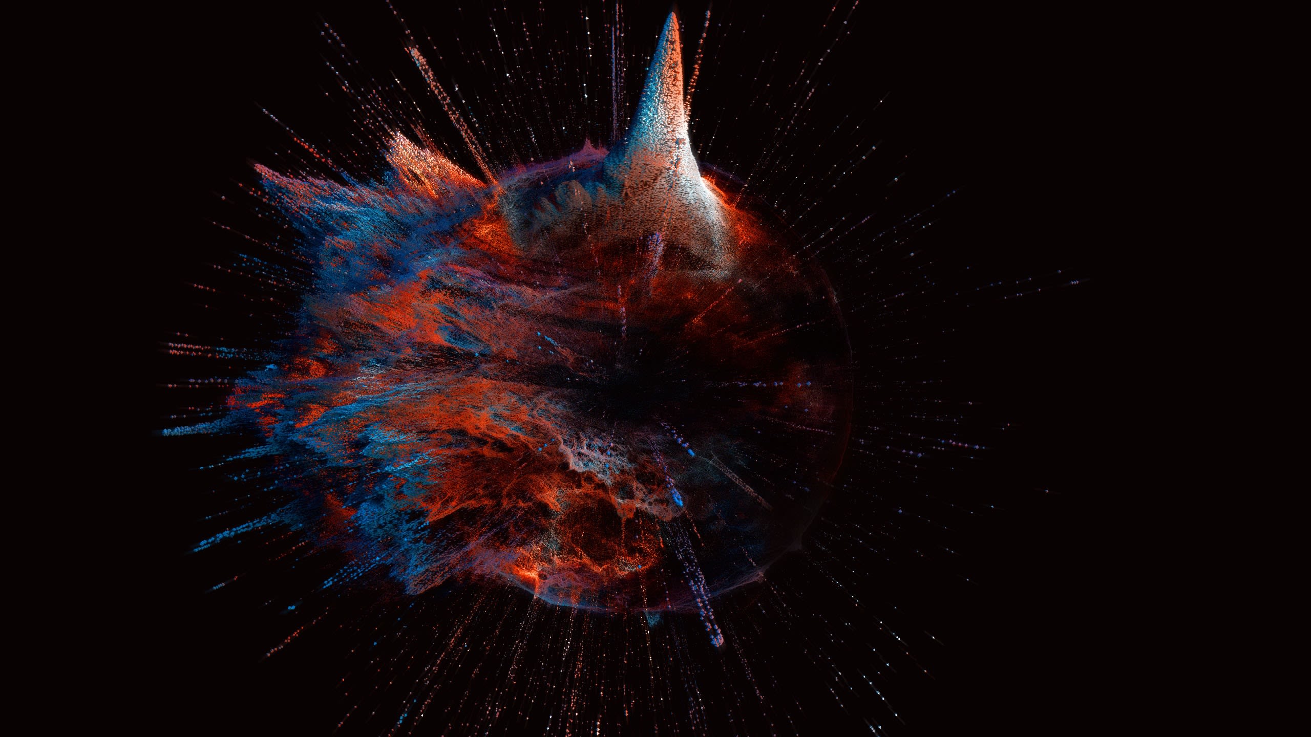 An explosion of colours on a dark background