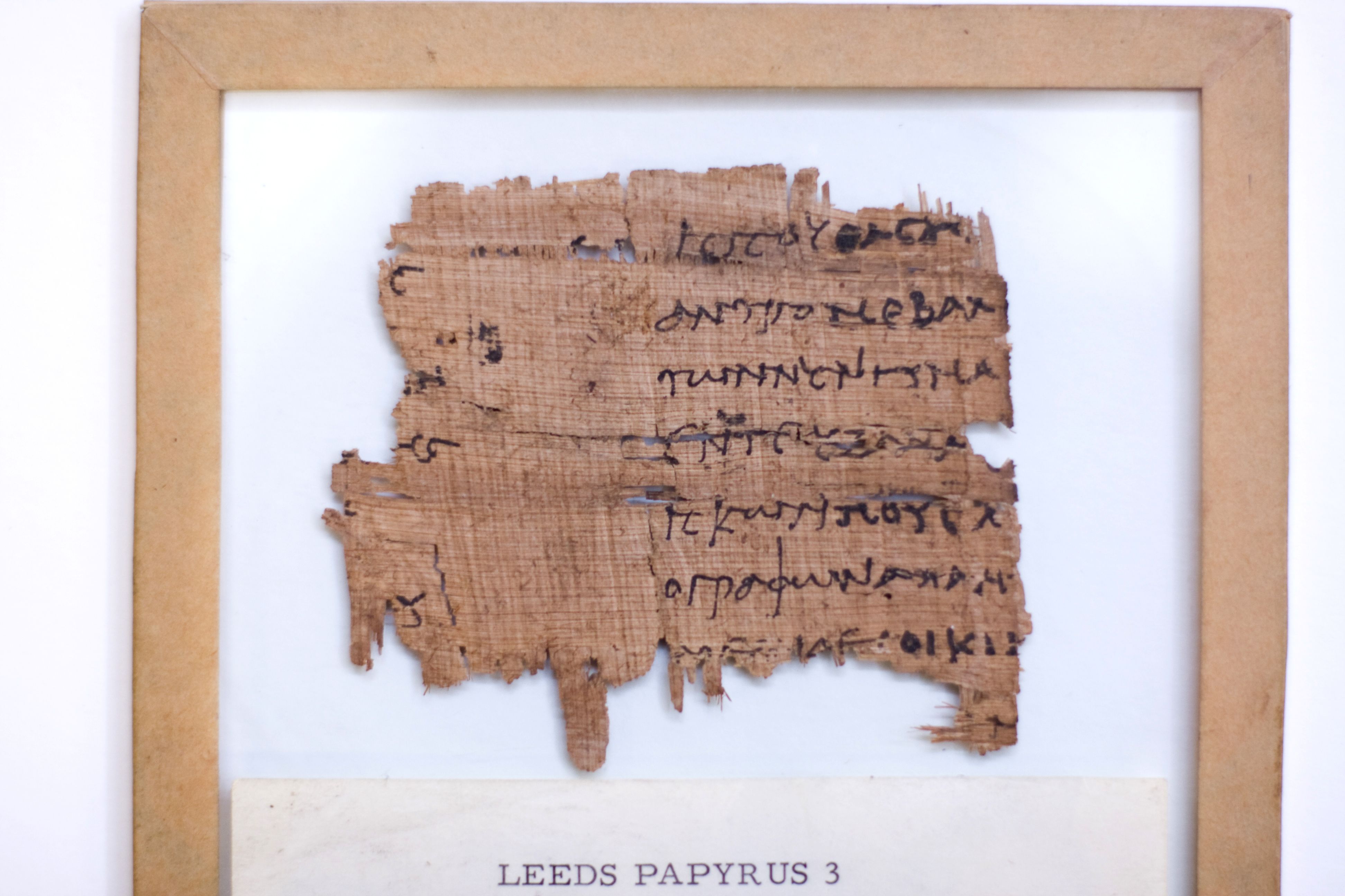 A mounted sample of papyrus.