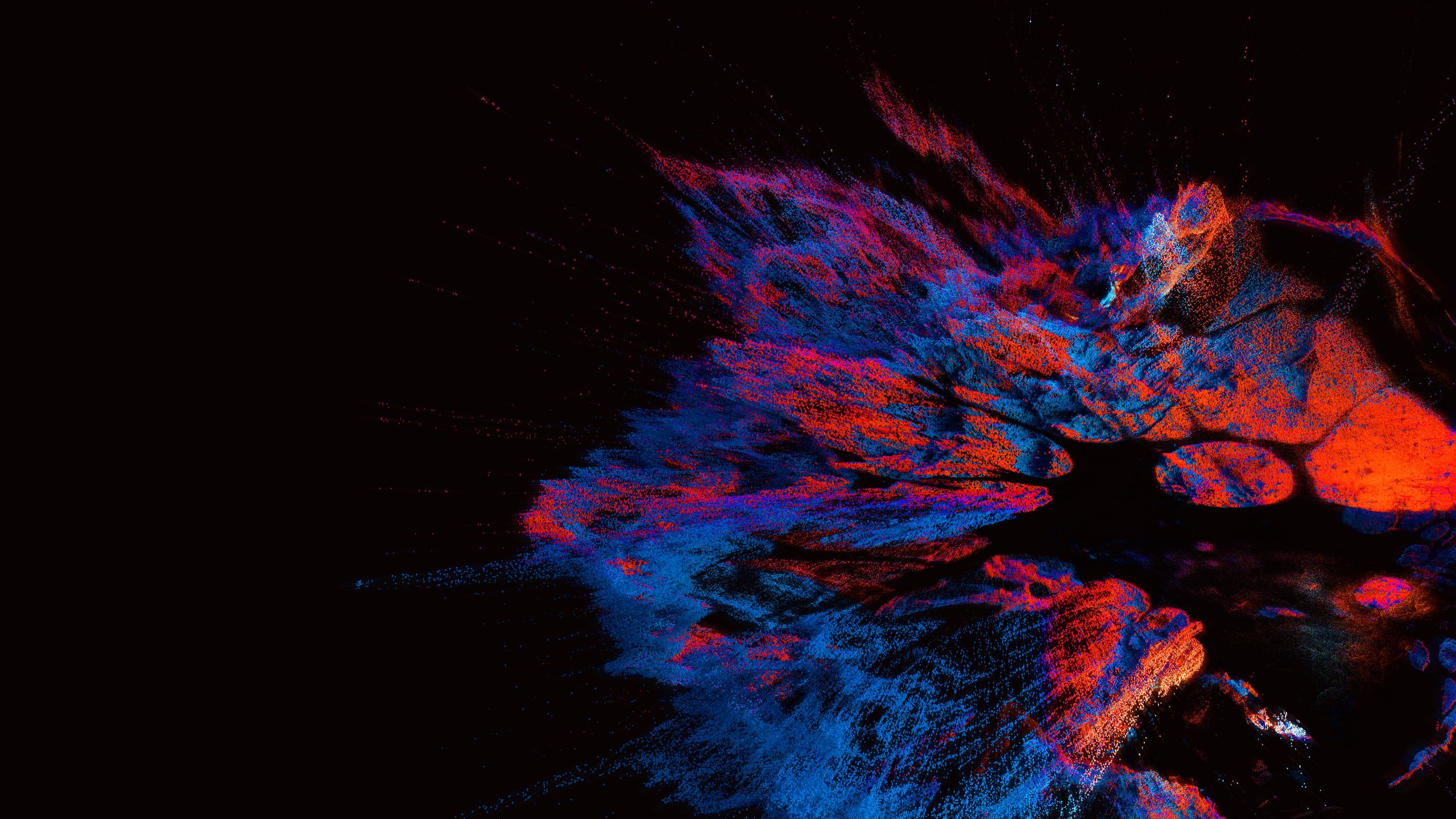 A mixture of colour splashes on a black backdrop